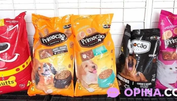 Gabimaxi Srl - 12000 Montevideo Gabimaxi Srl - 12000 Montevideo