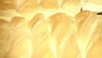 Gamasi - 15000 Ciudad De La Costa