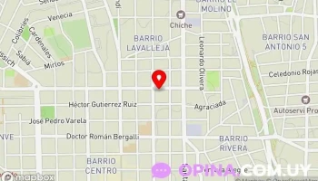 Gomeria Carben - Departamento De Maldonado