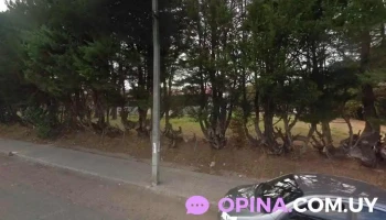 Green Apple - 20400 San Carlos