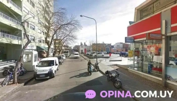 Green Apple's Papelería - Maldonado Green Apple's Papelería - Maldonado