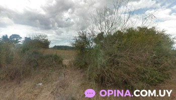 Gregorio Morena y Cia - 70100 Carmelo Gregorio Morena y Cia - 70100 Carmelo