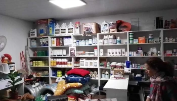 Greyhound Clínica veterinaria - 34200 Nico Pérez Greyhound Clínica veterinaria - 34200 Nico Pérez