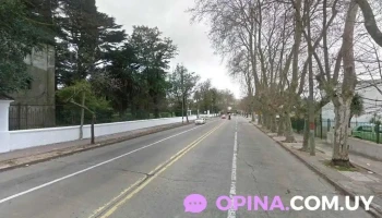 Grupo Ivory - Montevideo