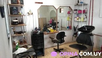 Guadalupe pelossssss - Gibraltar 4237 Guadalupe pelossssss - Gibraltar 4237