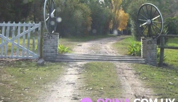 guillermo arrillaga - Florida