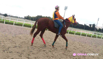 Hipódromo - Montevideo