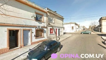 Home Pet's Home - Guardería - 75000 Mercedes