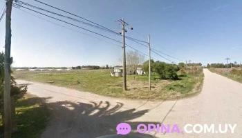 Hortícola El Fortín sas - Estación Atlántida Hortícola El Fortín sas - Estación Atlántida