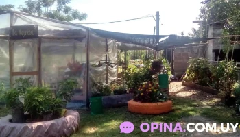 Huerta Organica Huerta Organica