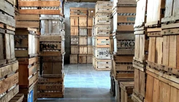 Huevos Agupe - Avícola San Agustín, deje su mensaje y a la brevedad posible un vendedor se comunicara con Ud. - 12500 Montevideo