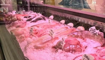 Industrias Pesqueras Valymar S.a. - 12100 Montevideo