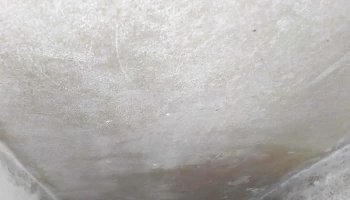 Inmobiliaria Braglia - Montevideo