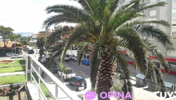 Inmobiliaria Playa Del Este - Punta Del Este Inmobiliaria Playa Del Este - Punta Del Este