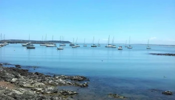 Inmobiliaria Sagasti - Entre Calles 30 Y 31