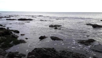 Inmobiliaria Sierra Y Mar - Piriápolis Inmobiliaria Sierra Y Mar - Piriápolis