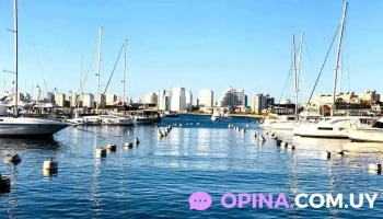 Inmobiliaria Verona Punta - Punta Del Este Inmobiliaria Verona Punta - Punta Del Este