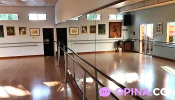 Instituto de Danzas Instituto de Danzas