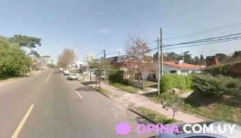 Instituto Greenwich - Maldonado Instituto Greenwich - Maldonado