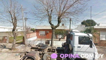 Jardín Collage - Florida