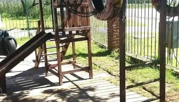 Jardin de infantes 346 - Montevideo Jardin de infantes 346 - Montevideo