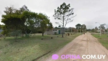 Jm Barber - Parque Del Plata