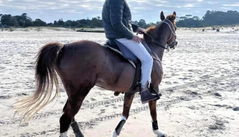 JotaPeEstudio - Rosi Costa Esquina