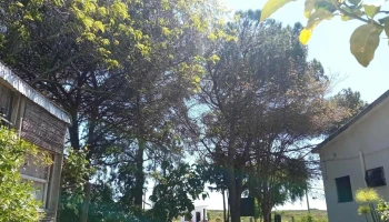 La Casa del Cura - Departamento De San José La Casa del Cura - Departamento De San José