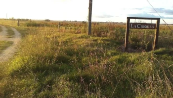 La Criolla - José Enrique Rodó La Criolla - José Enrique Rodó