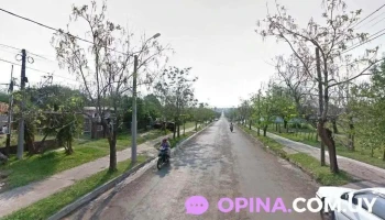 La Pelu de Pao - 55000 Artigas La Pelu de Pao - 55000 Artigas