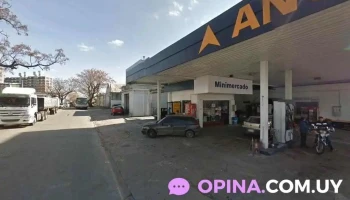 La Pelu Sg - 11600 Montevideo