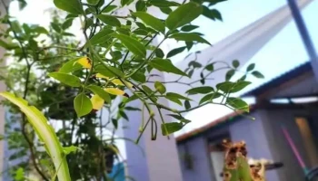 La Resi Residencia Universitaria - Rivera La Resi Residencia Universitaria - Rivera