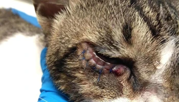 La Taba - 11600 Montevideo La Taba - 11600 Montevideo