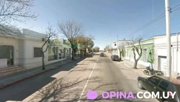 Laboratorio Ceb Young - Young Laboratorio Ceb Young - Young