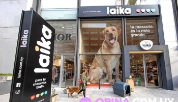 Laika - 11200 Montevideo
