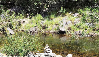 Laika - 11300 Montevideo Laika - 11300 Montevideo