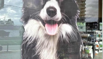 Laika Américas • Barra de Carrasco - 15000 Ciudad De La Costa Laika Américas • Barra de Carrasco - 15000 Ciudad De La Costa