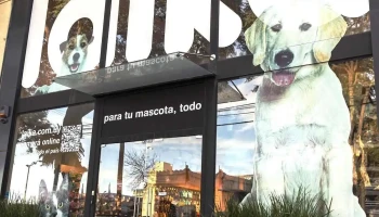 Laika | Ellauri - 11300 Montevideo Laika | Ellauri - 11300 Montevideo