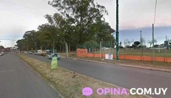 LaPelu Queria - 70000 Col. Del Sacramento