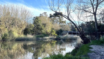 Las brujas - Ruta 49