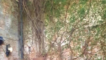 Las Glicinas Boutique Apartments - Col. Del Sacramento Las Glicinas Boutique Apartments - Col. Del Sacramento