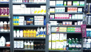 Lasplaces Veterinaria - 75200 Florencio Sánchez Lasplaces Veterinaria - 75200 Florencio Sánchez