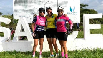 Letras de Sauce - Sauce Letras de Sauce - Sauce