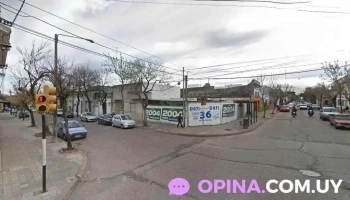 Licenciada en Psicología - Paysandú