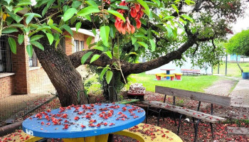 Liceo de San Antonio - 50009 San Antonio