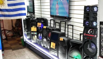 Lion Celulares - 11900 Montevideo Lion Celulares - 11900 Montevideo