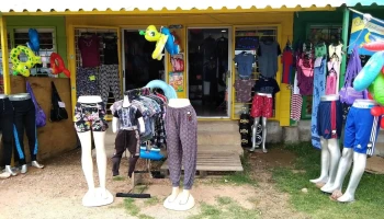 Lion King - Departamento De Canelones