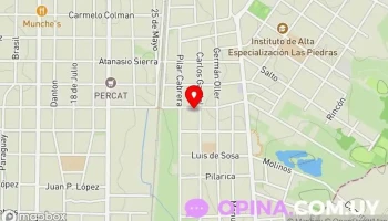 Lioness Glam - 15900 Las Piedras