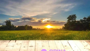 Lisley S.a. - 11300 Montevideo Lisley S.a. - 11300 Montevideo