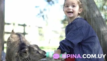 Lo de Manu · Puertito del Buceo - Montevideo Lo de Manu · Puertito del Buceo - Montevideo